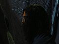 DSCF1736