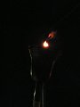 DSCF2063