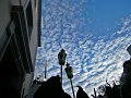 DSCF2096b