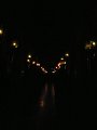 DSCF2202